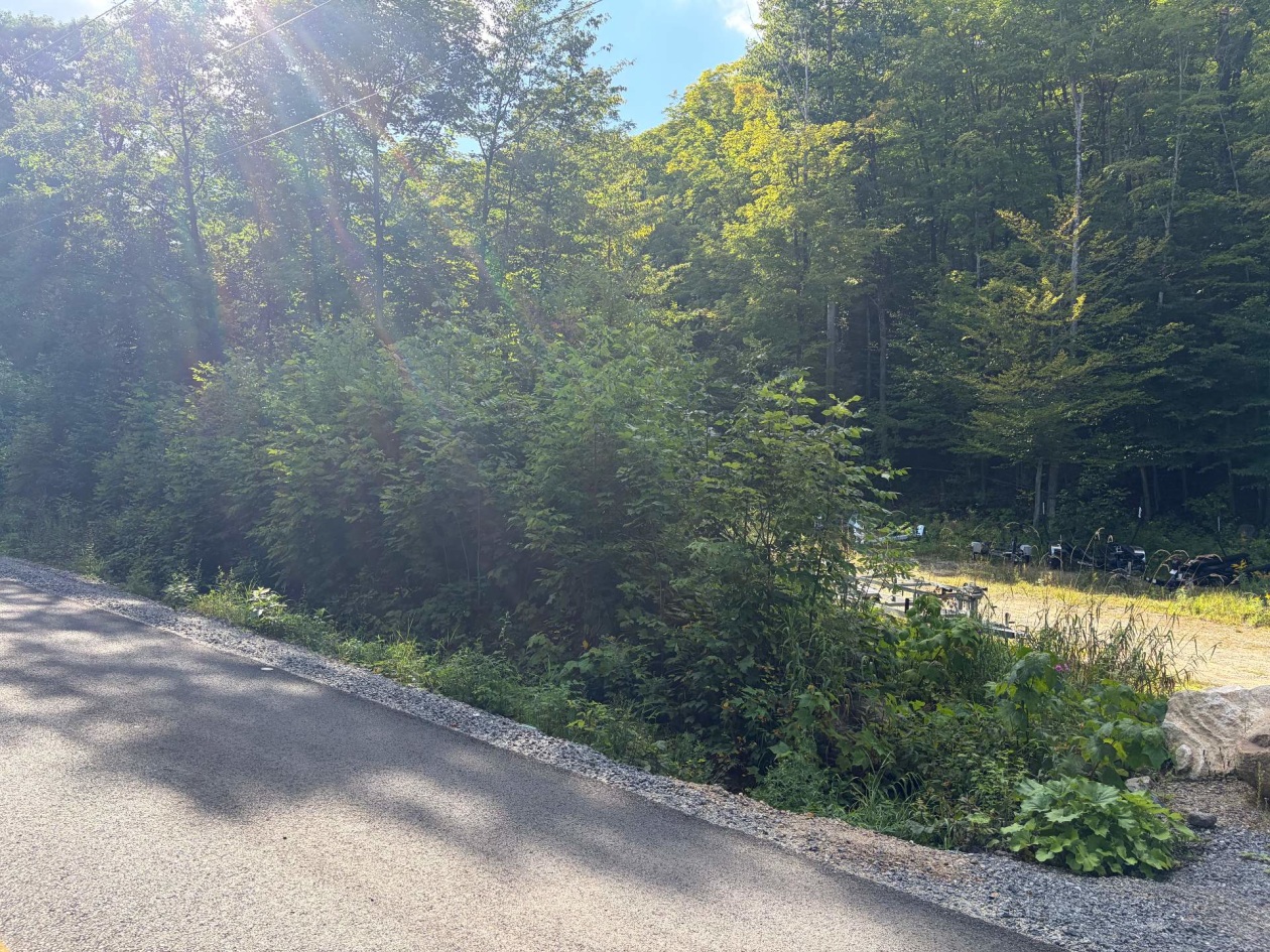 Terrain — Ch. du Tour-du-Lac, Lac-Simon