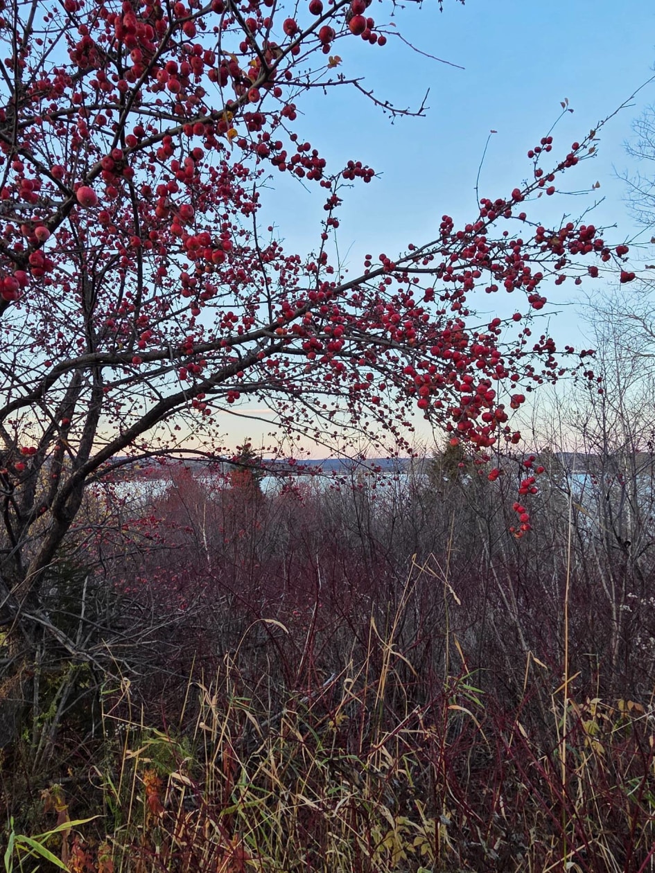 Vue d'ensemble — Route de la Pointe, Port-Daniel/Gascons