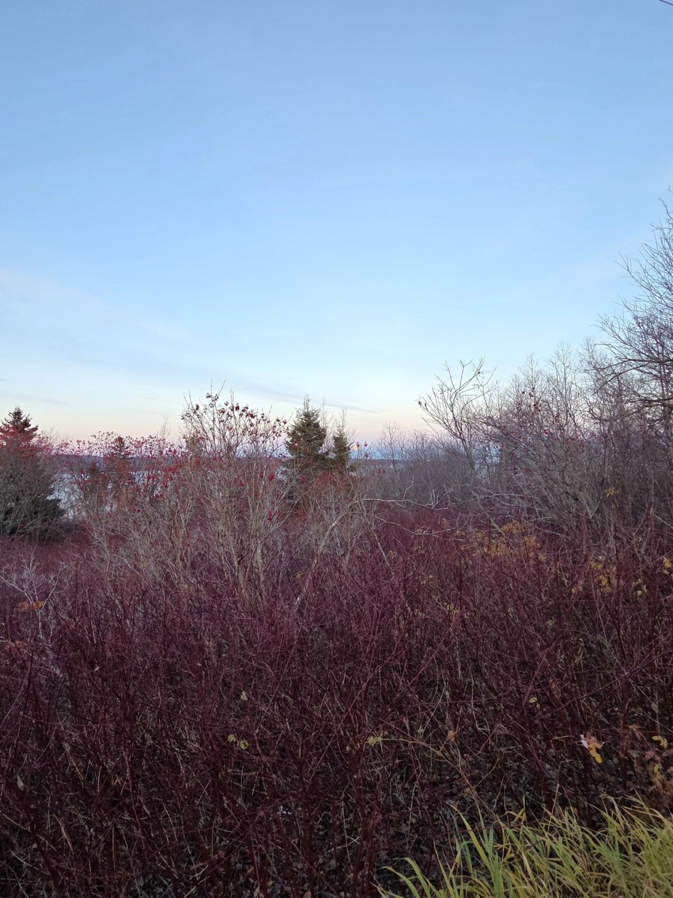 Vue d'ensemble — Route de la Pointe, Port-Daniel/Gascons