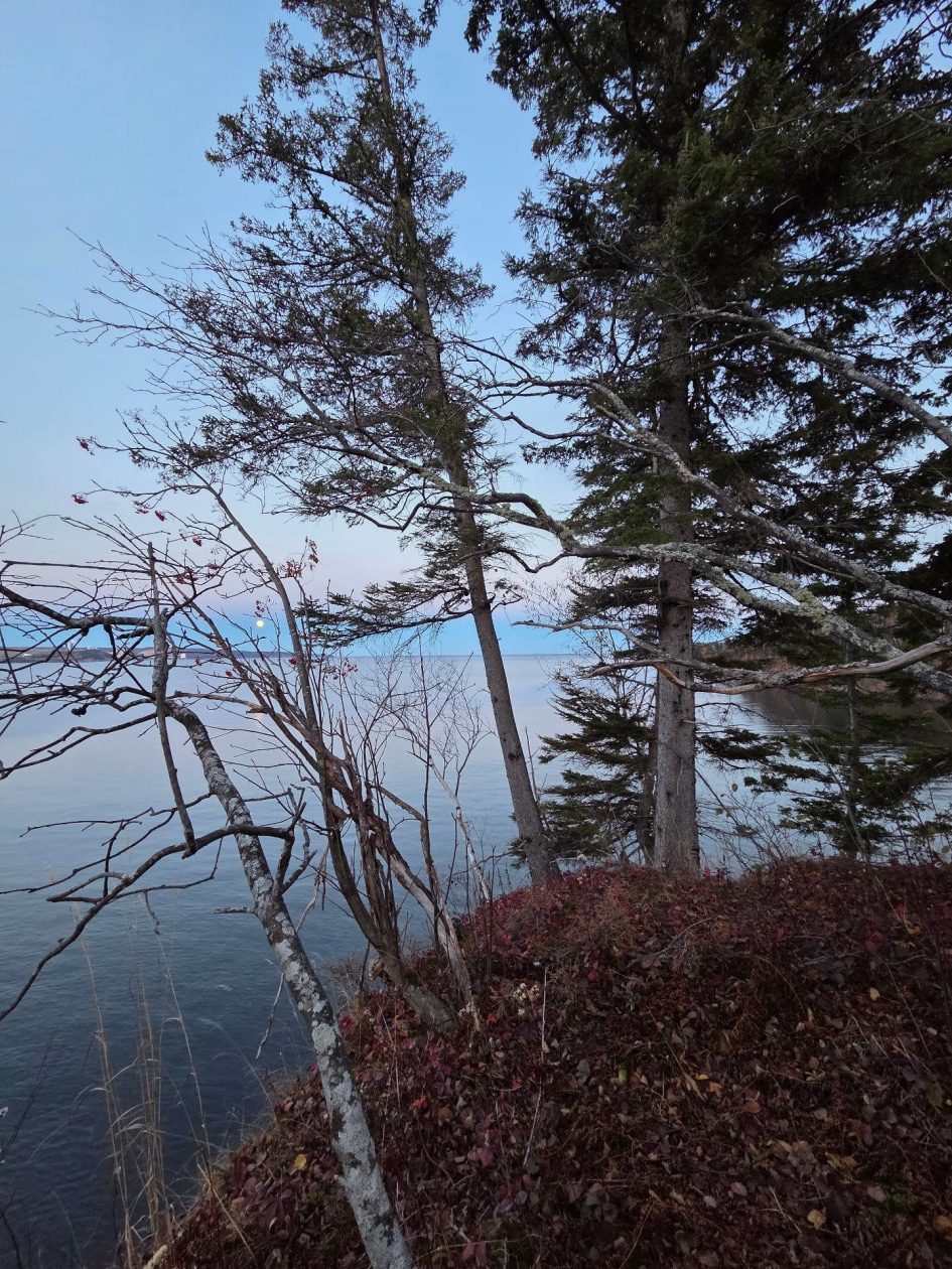 Photo 15 — Route de la Pointe, Port-Daniel/Gascons