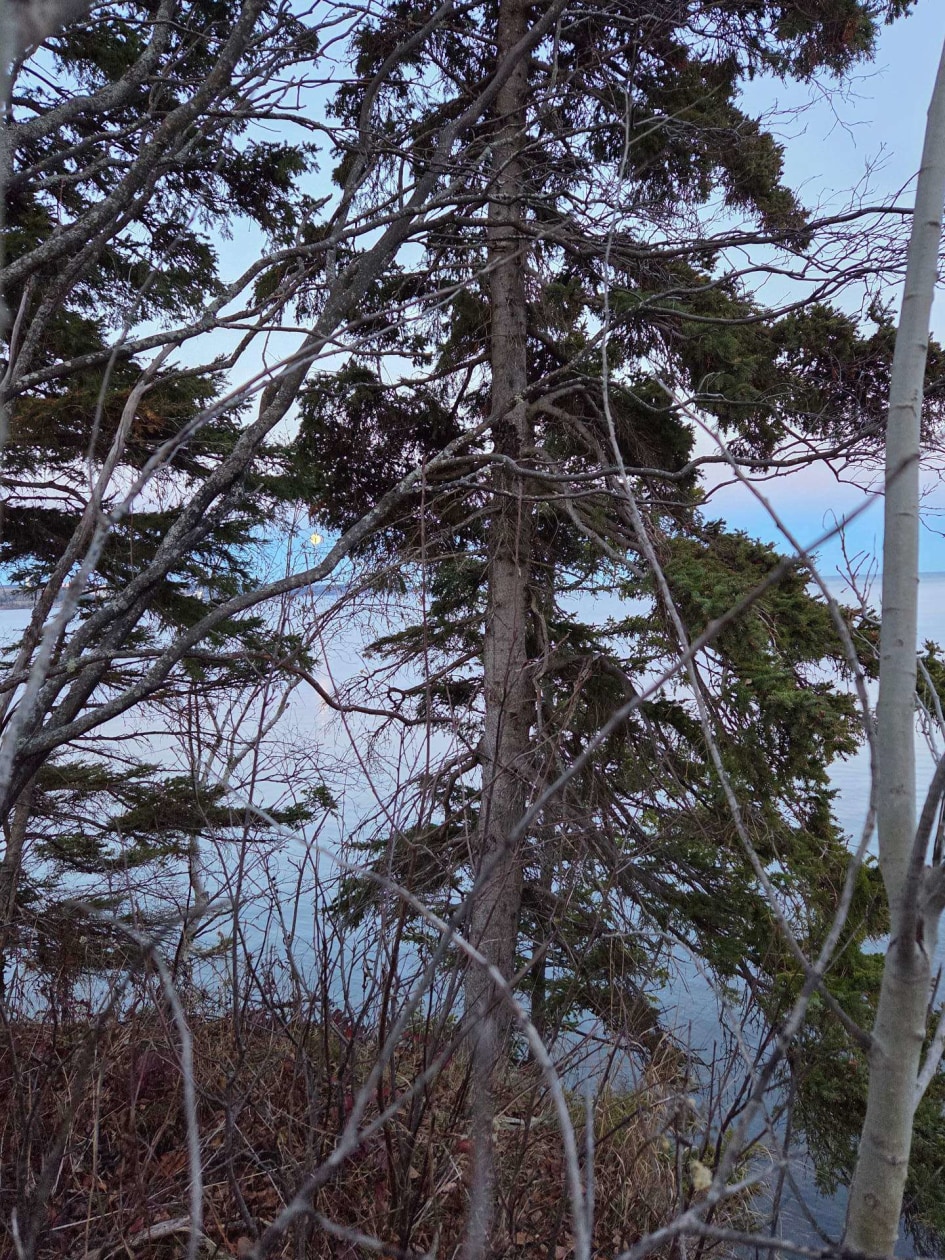 Photo 13 — Route de la Pointe, Port-Daniel/Gascons
