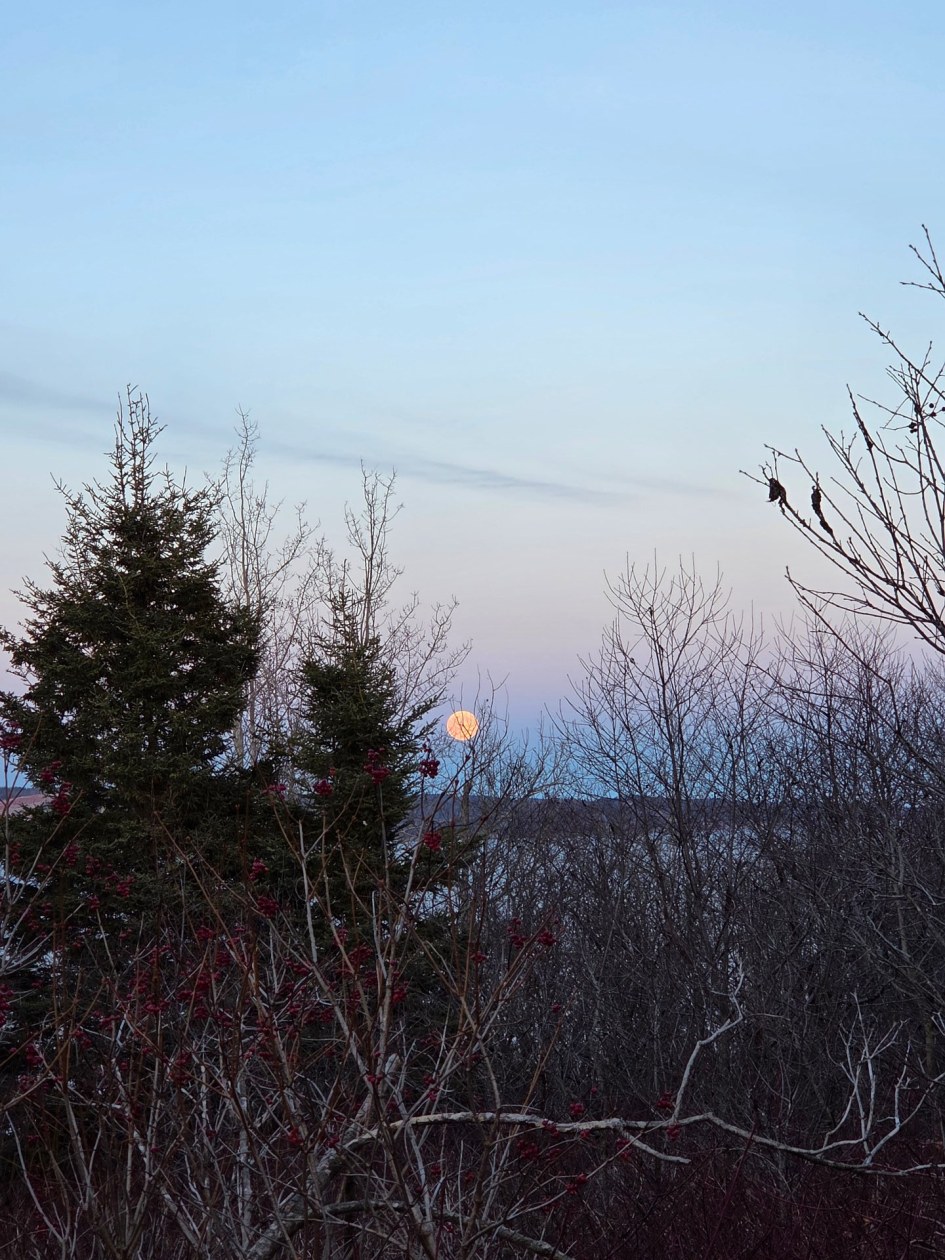 Vue d'ensemble — Route de la Pointe, Port-Daniel/Gascons