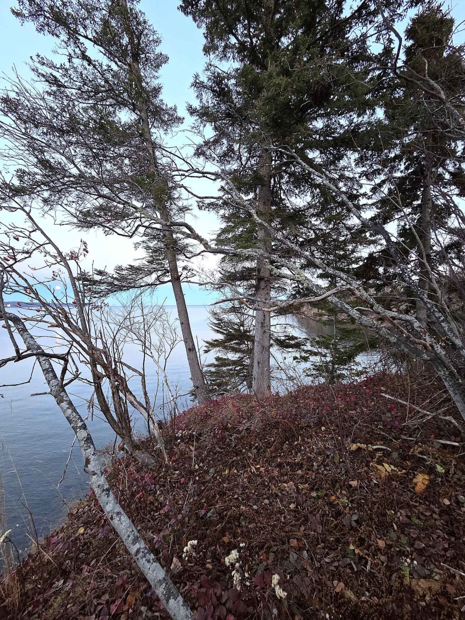 Photo 17 — Route de la Pointe, Port-Daniel/Gascons