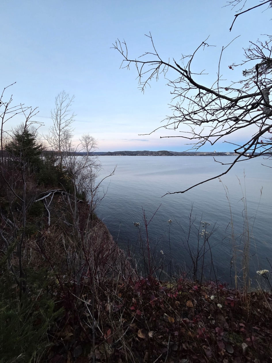 Photo 14 — Route de la Pointe, Port-Daniel/Gascons