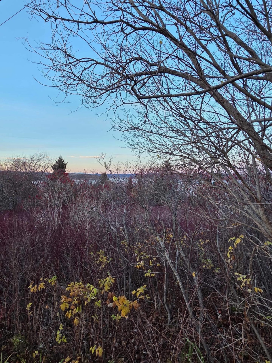 Vue d'ensemble — Route de la Pointe, Port-Daniel/Gascons