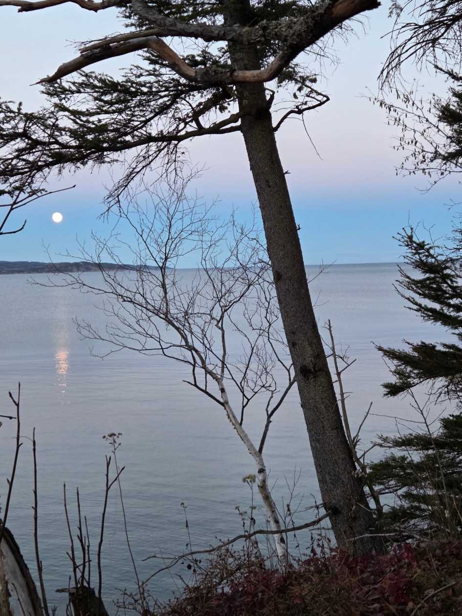 Photo 16 — Route de la Pointe, Port-Daniel/Gascons