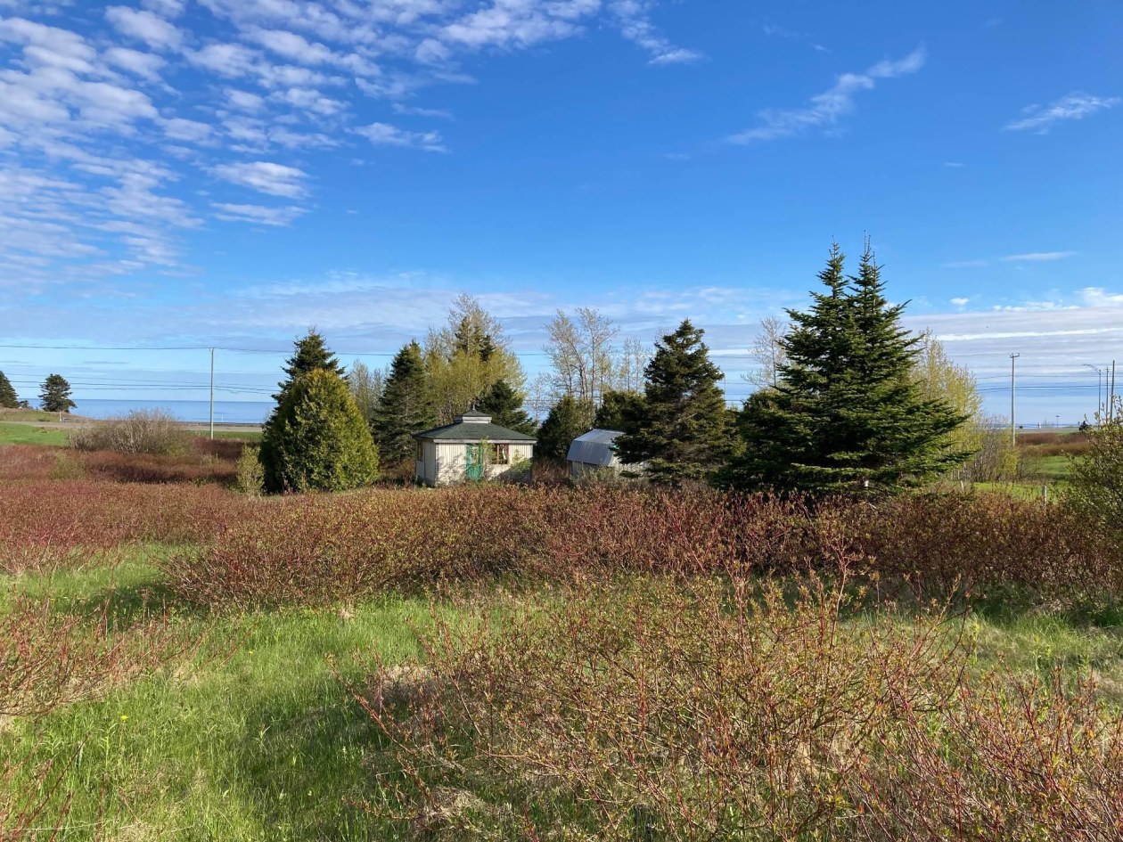 Terrain — Route 132, Sainte-Thérèse-de-Gaspé