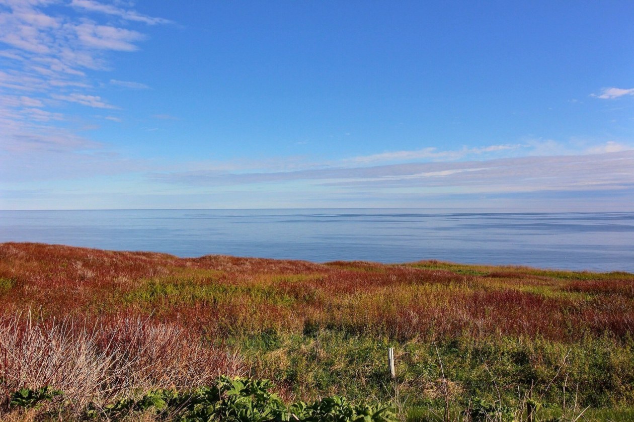 Photo 5 — Route 132, Sainte-Thérèse-de-Gaspé