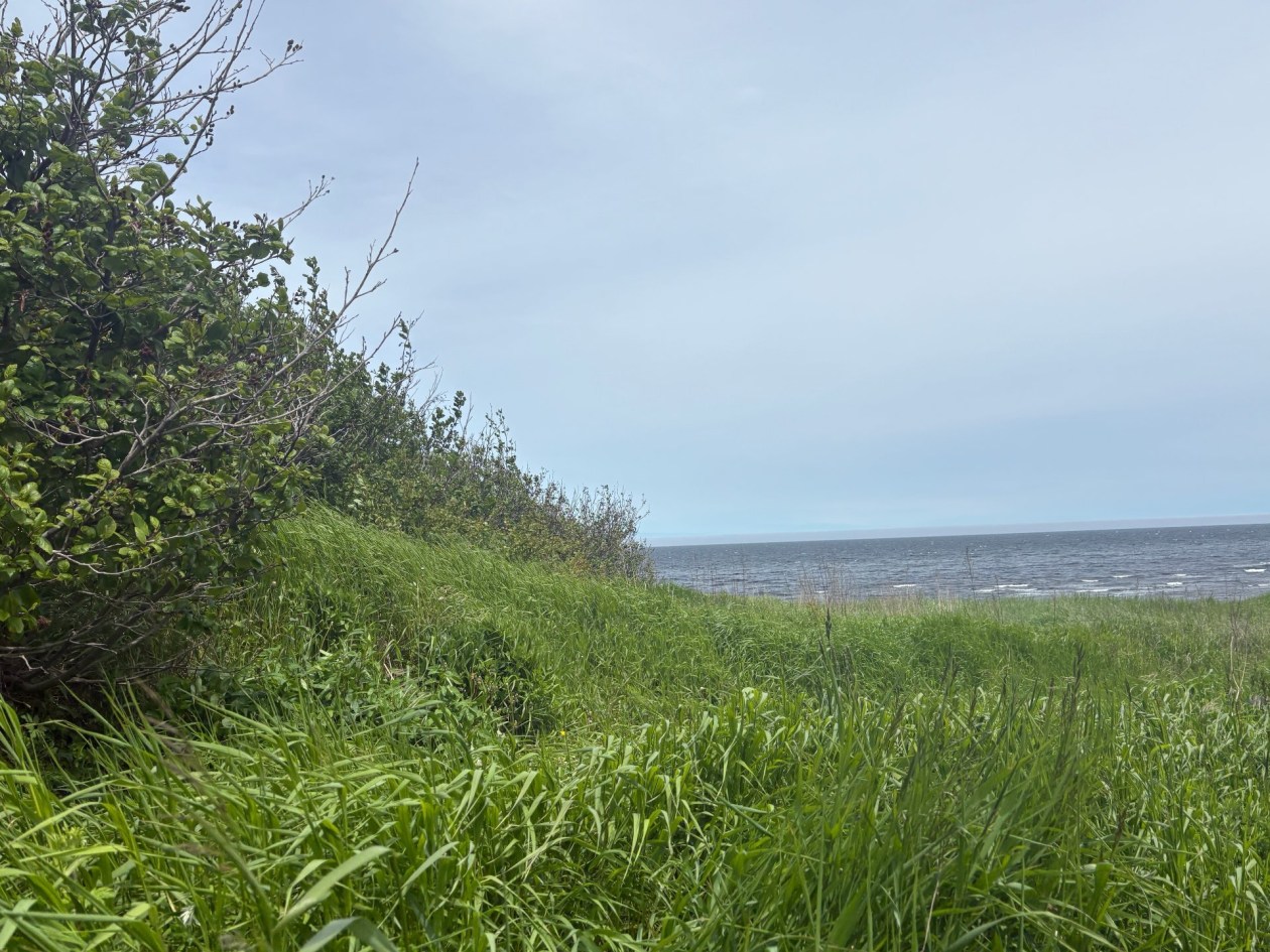 Photo 26 — 9 Rue Dunn, Gaspé