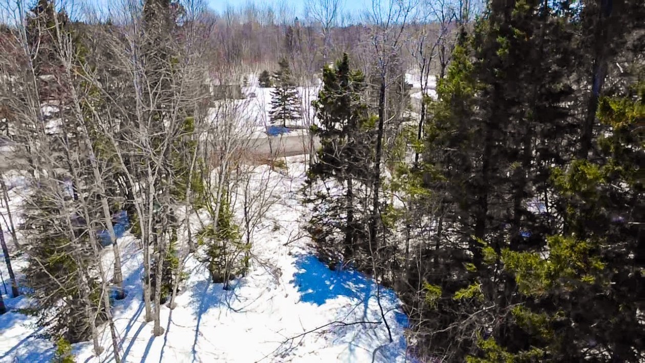 Vue d'ensemble — 108 Route Fitzgerald, Port-Daniel/Gascons
