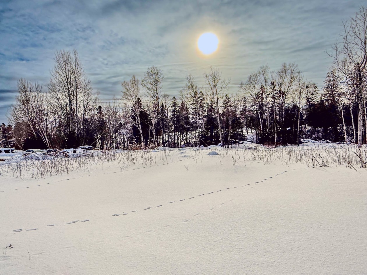 Terrain — 228 Route 132, Port-Daniel/Gascons