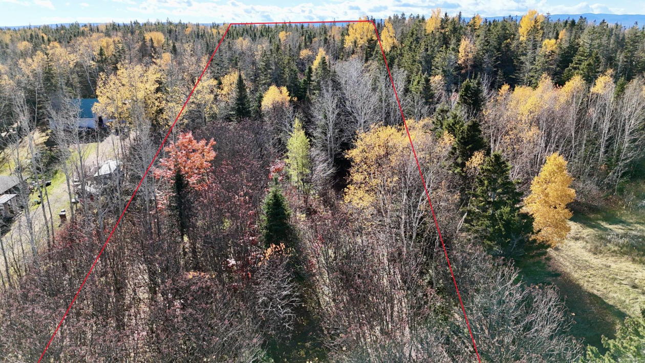 Photo aérienne — Boul. de Grande-Grève, Gaspé
