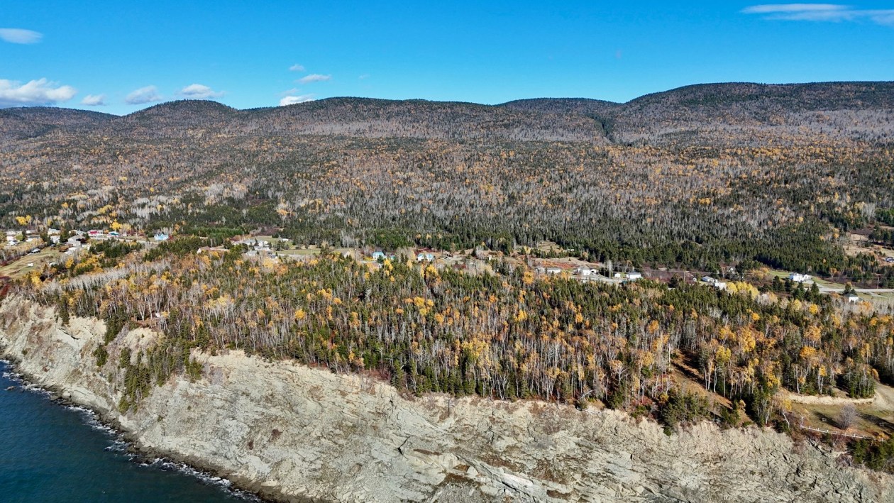 Photo aérienne — Boul. de Grande-Grève, Gaspé