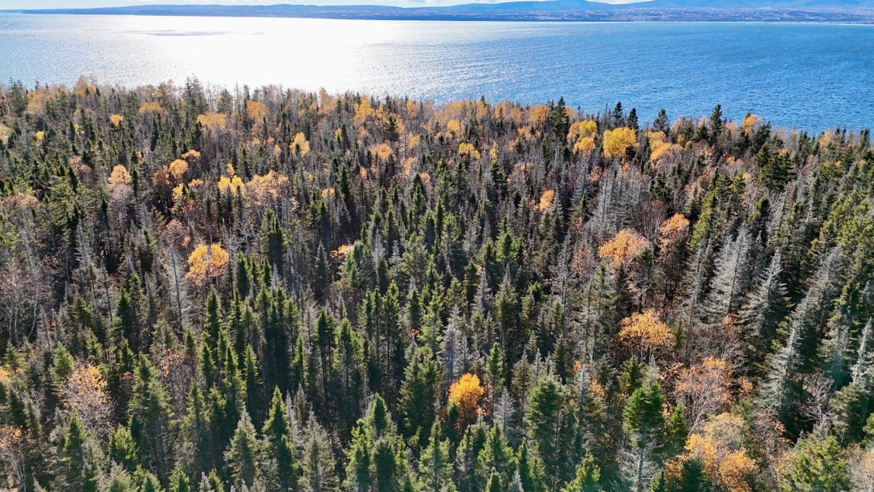 Photo aérienne — Boul. de Grande-Grève, Gaspé