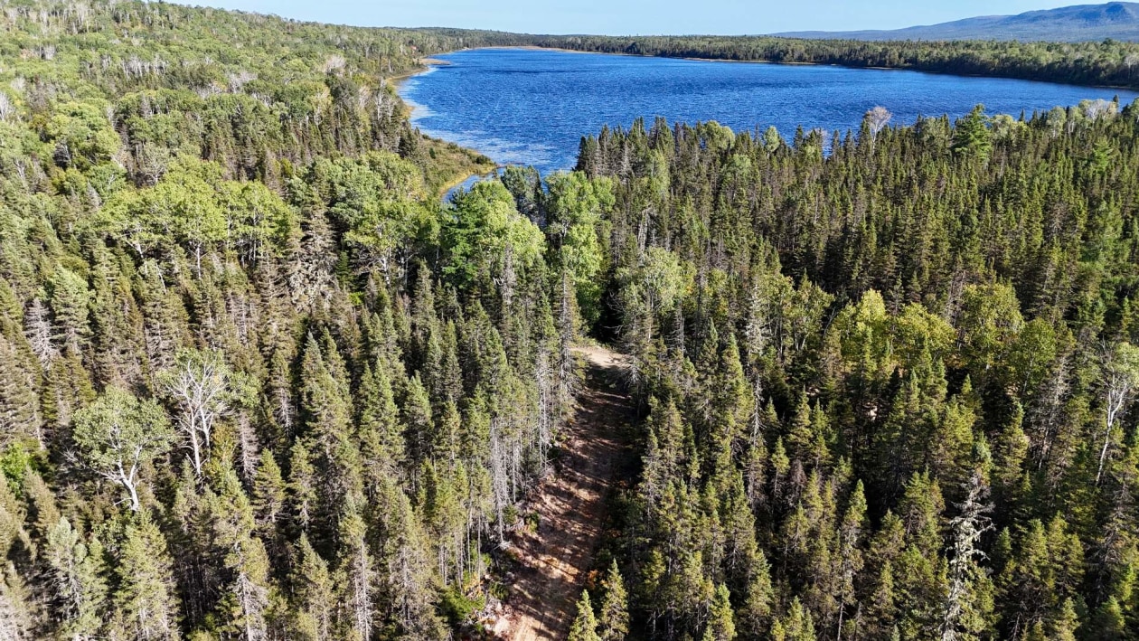 Terrain — Ch. du Premier-Lac, Gaspé