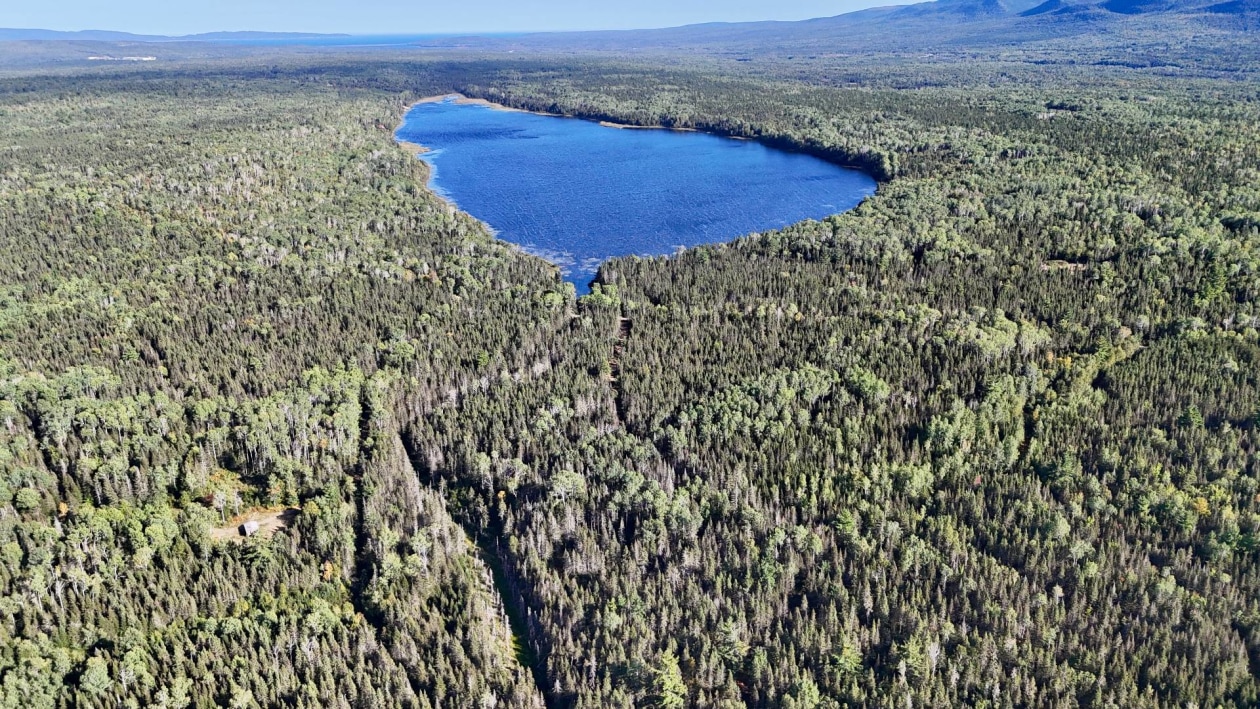 Terrain — Ch. du Premier-Lac, Gaspé