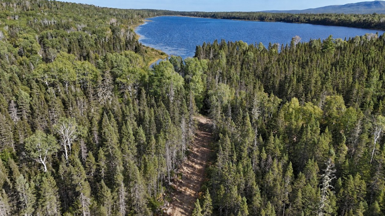 Terrain — Ch. du Premier-Lac, Gaspé