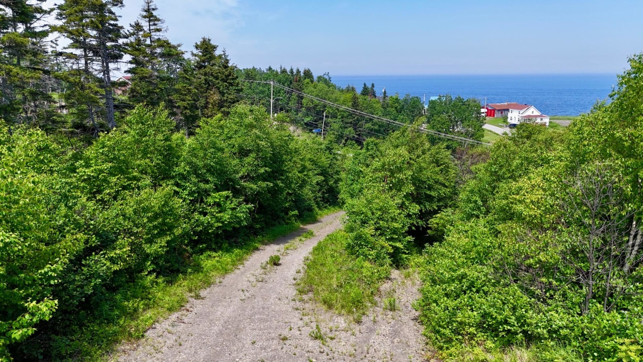 Terrain — Rue Principale, Petite-Vallée