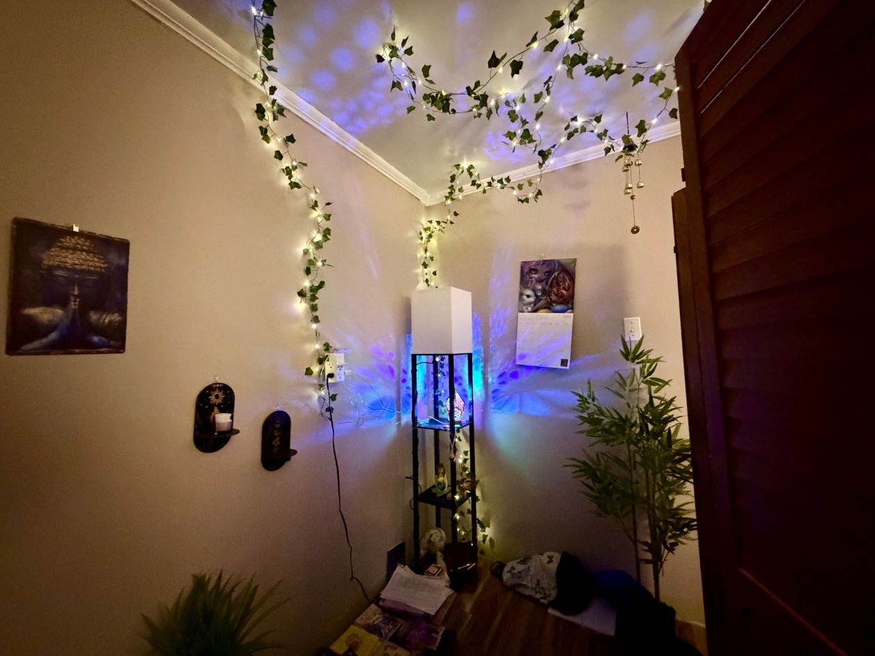 Bureau — 114, Boul. Renard O., Gaspé, G4X5A1, Gaspé