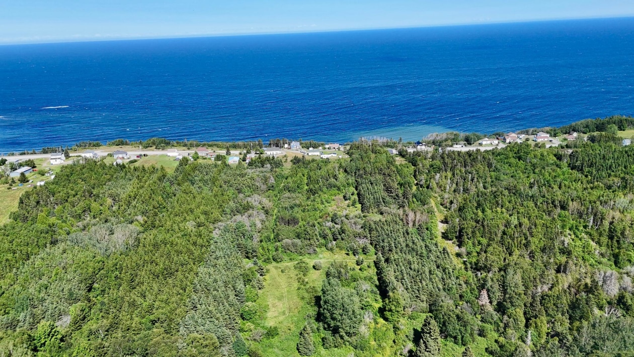 Photo aérienne — 585, Boul. de St-Maurice, Gaspé, G4X4L8, Gaspé