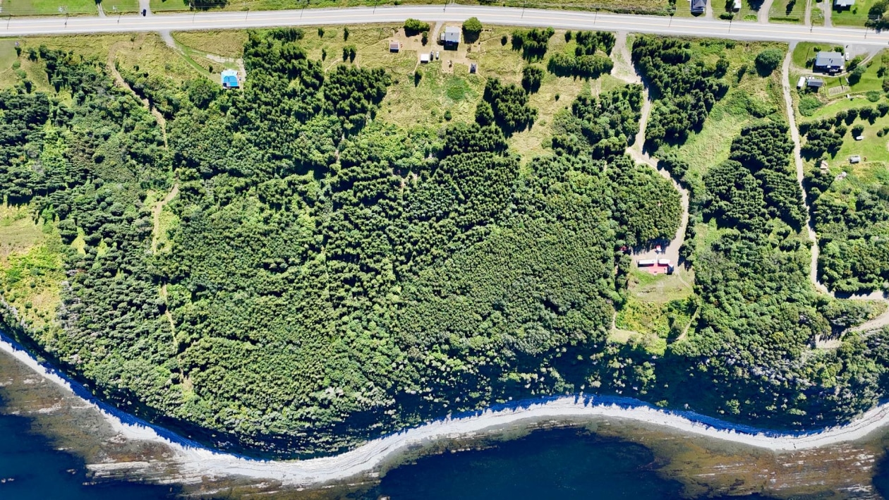 Photo aérienne — 117, Rue Principale, Petite-Vallée, G0E1Y0, Petite-Vallée