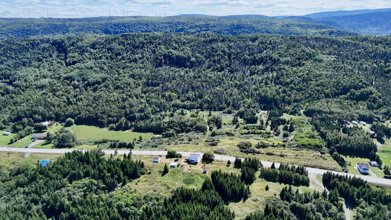 Photo aérienne — 117, Rue Principale, Petite-Vallée, G0E1Y0, Petite-Vallée