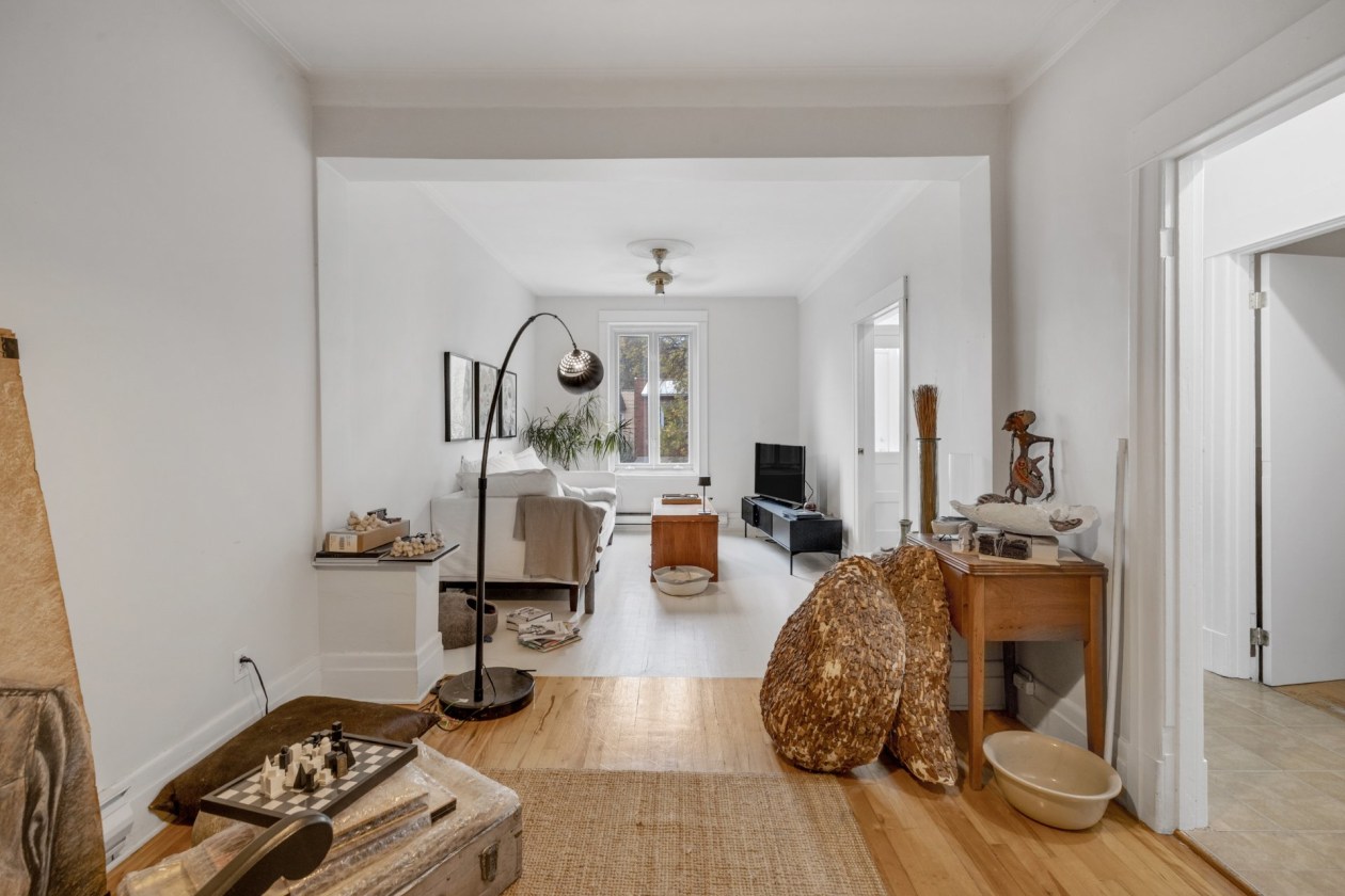Vue d'ensemble — 8256 - 8258 Rue St-Dominique, Montréal