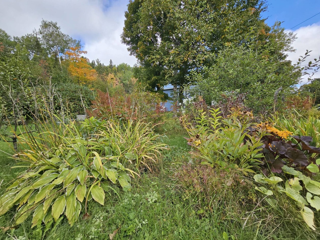 Terrain — 154, Rue de la Montagne, Hébertville, G8N1M3, Hébertville