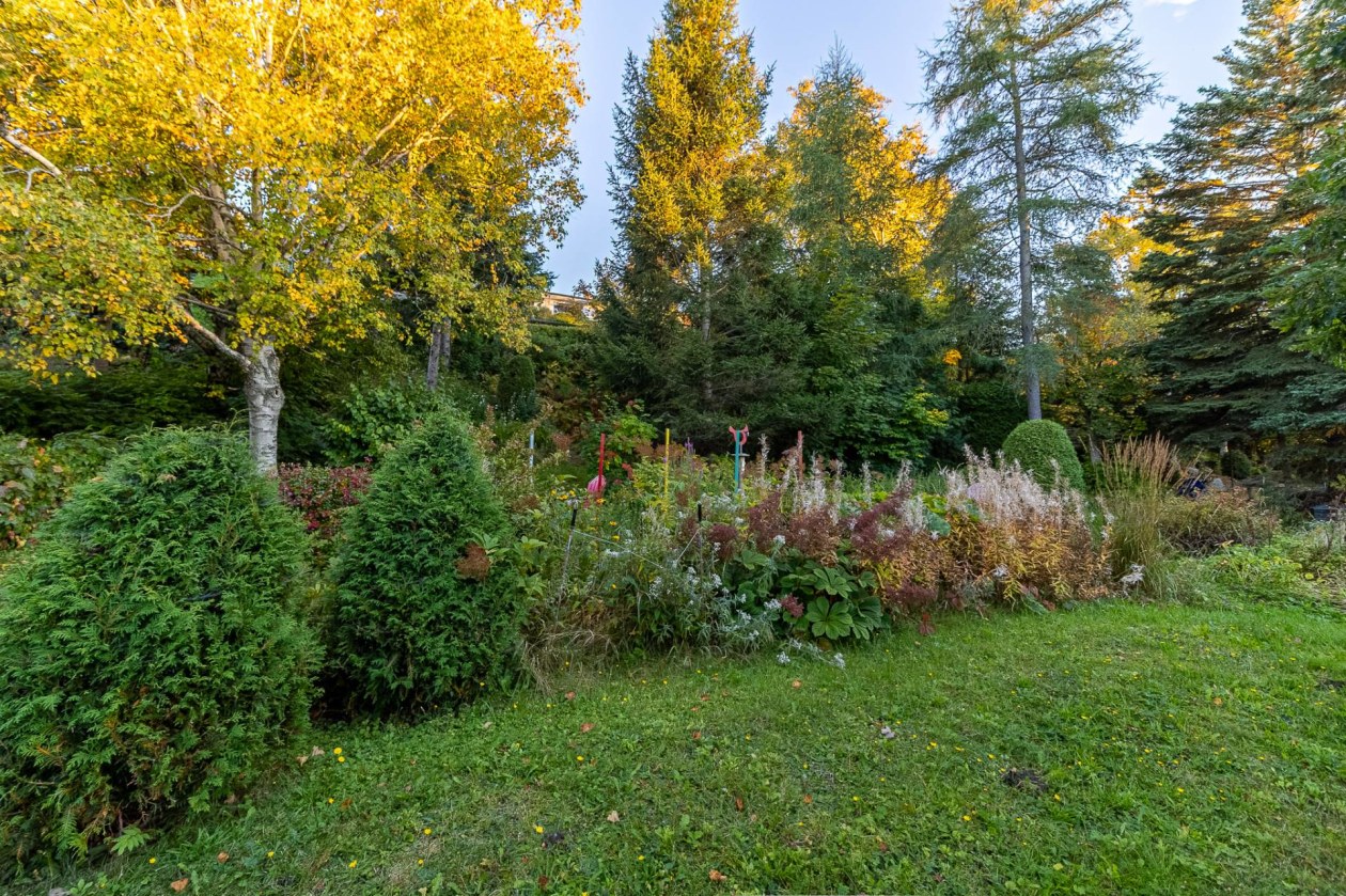 Cour — 862 Rue Arpin, Rimouski