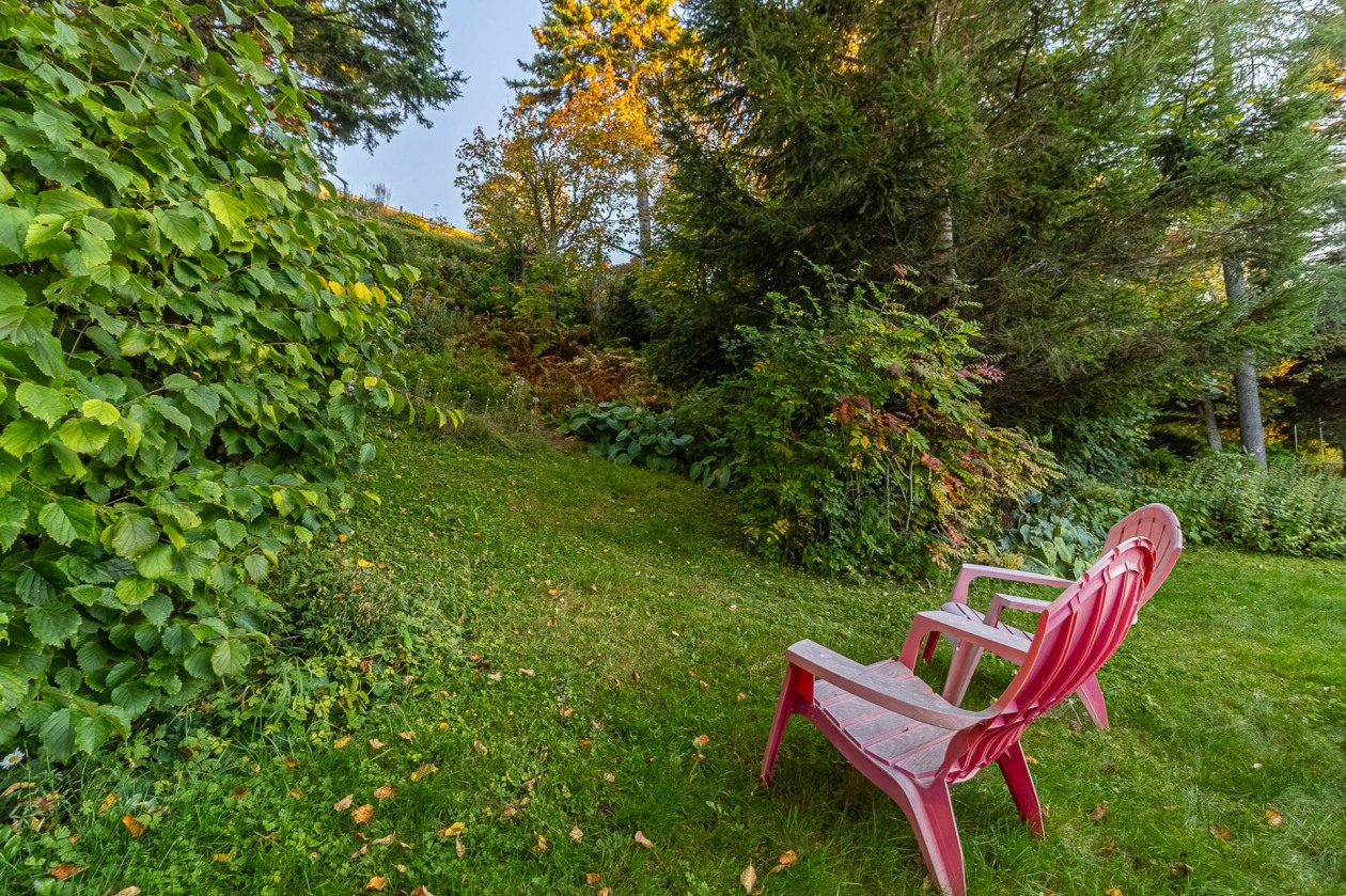 Cour — 862 Rue Arpin, Rimouski