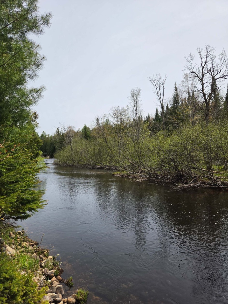 Bord de l'eau — Rue Jean-Marc, Sainte-Émélie-de-l'Énergie