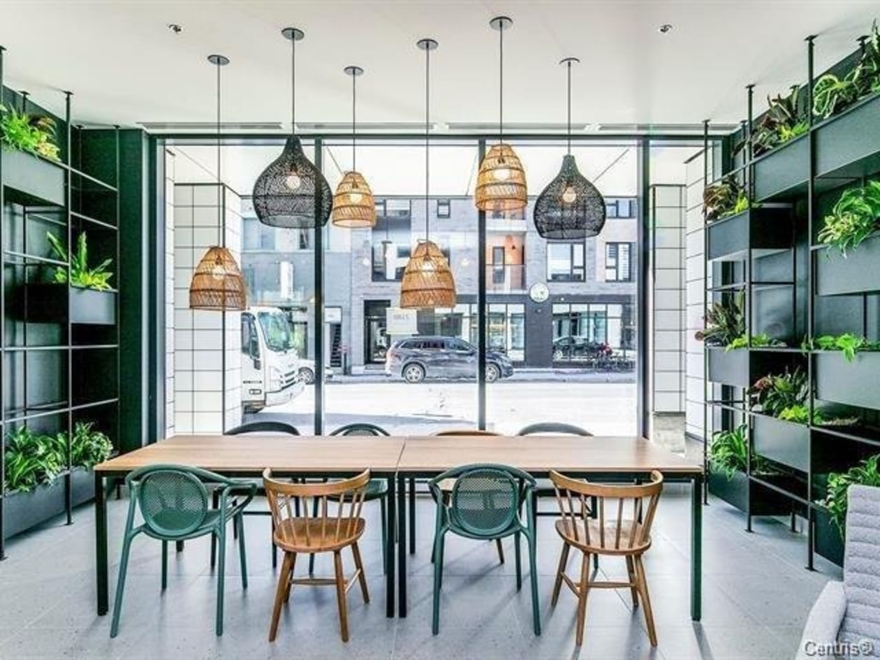 2180, Rue Ste-Catherine E. — photo 2