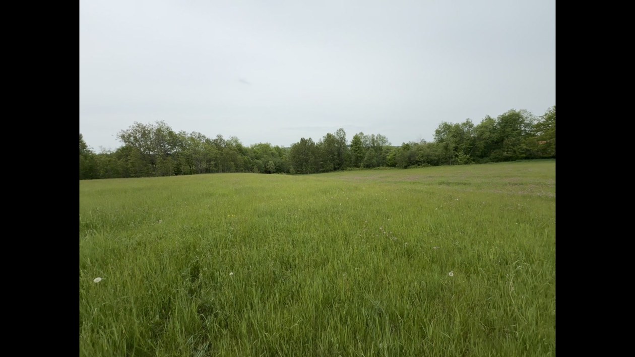 Photo 88 — 3 Ch. Flanders, Cookshire-Eaton