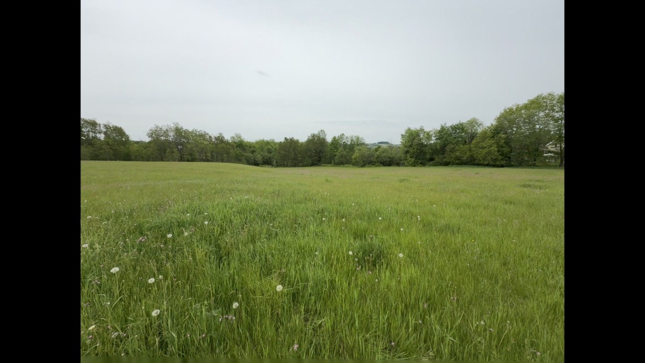 Photo 89 — 3 Ch. Flanders, Cookshire-Eaton