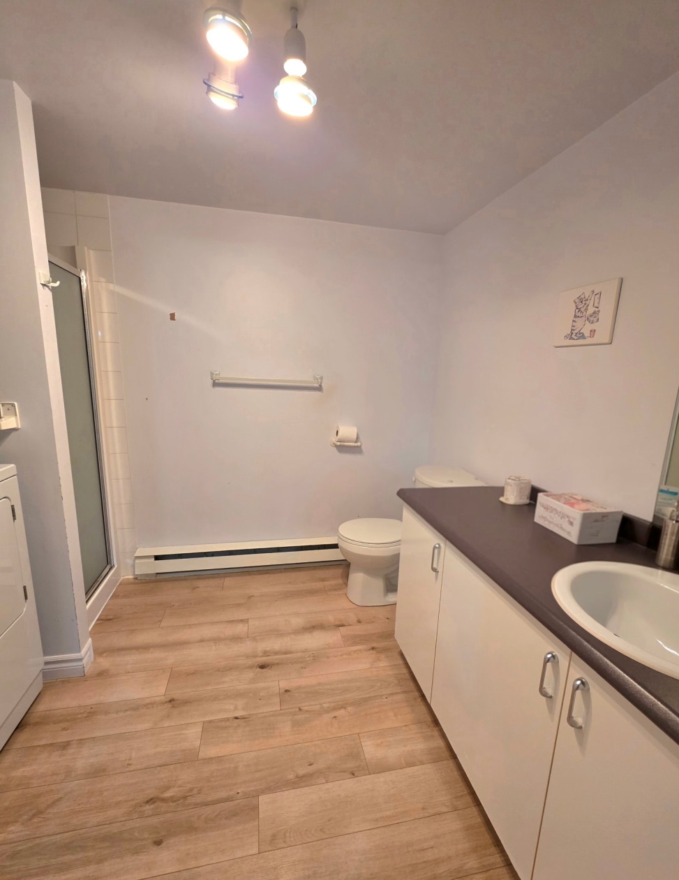 Salle de bains — 1262 Rue Dandonneau, Mont-Joli