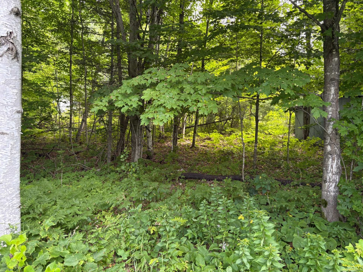 Terrain — Ch. du Lac-Hénault N., Mandeville