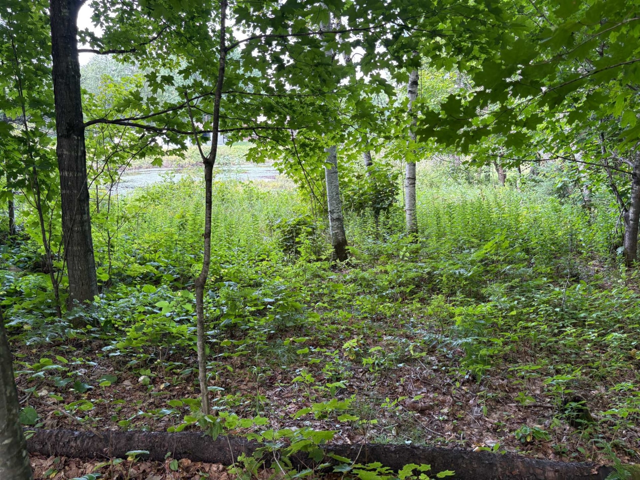 Terrain — Ch. du Lac-Hénault N., Mandeville