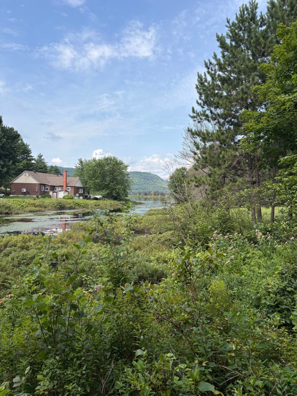 Terrain — Ch. du Lac-Hénault N., Mandeville