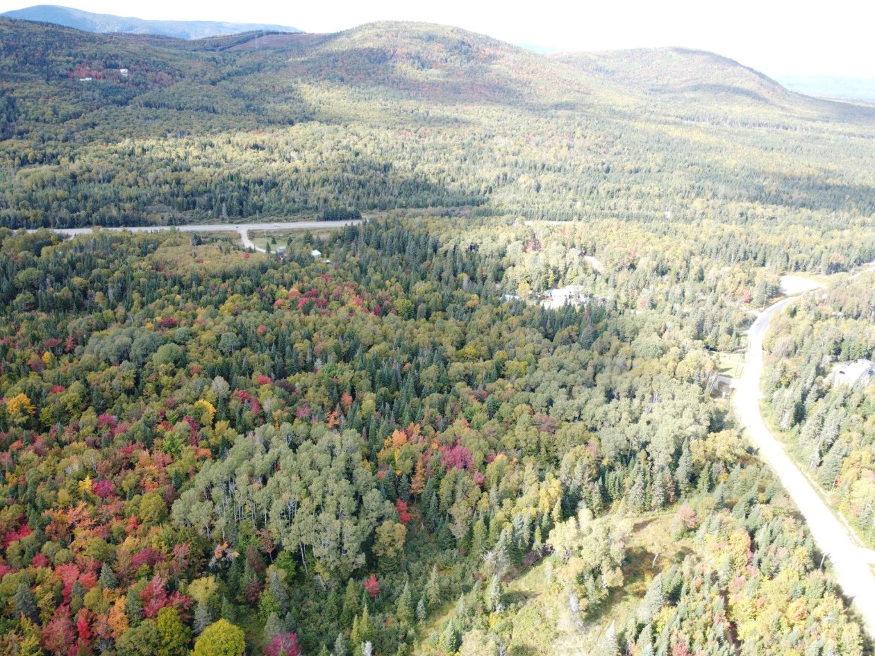 Photo 16 — Ch. de la Martine, Petite-Rivière-Saint-François