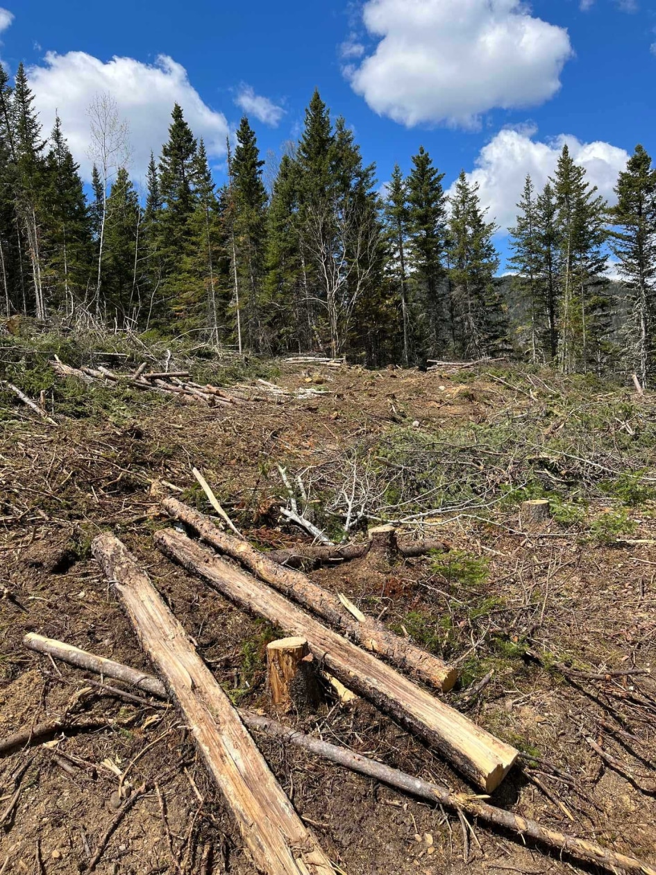 Terrain — Ch. du Pied-des-Monts, Saint-Aimé-des-Lacs