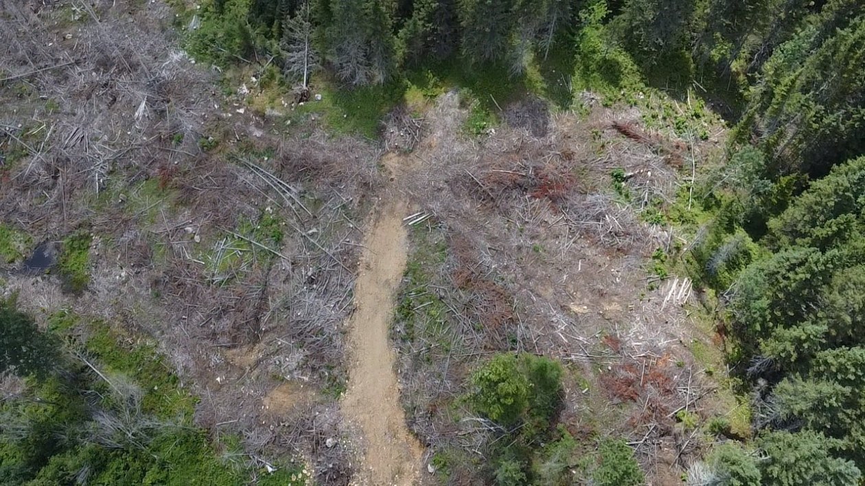 Terrain — Ch. du Pied-des-Monts, Saint-Aimé-des-Lacs