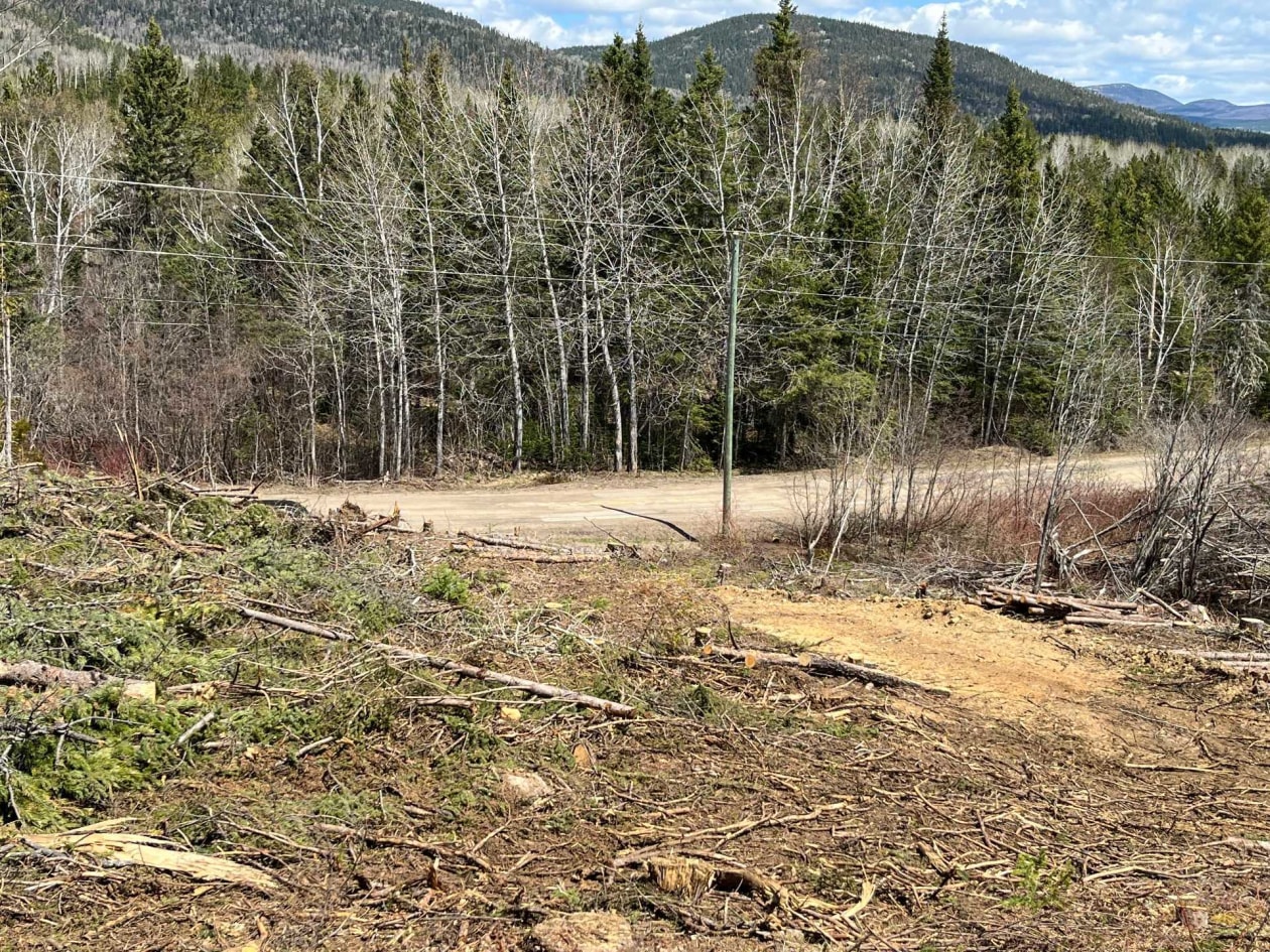 Terrain — Ch. du Pied-des-Monts, Saint-Aimé-des-Lacs