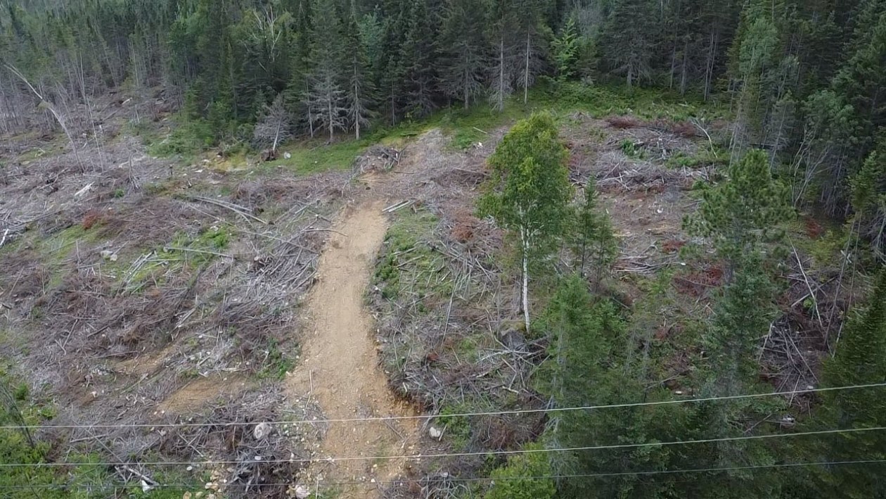 Terrain — Ch. du Pied-des-Monts, Saint-Aimé-des-Lacs