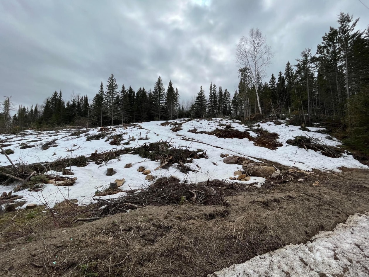 Terrain — Ch. du Pied-des-Monts, Saint-Aimé-des-Lacs