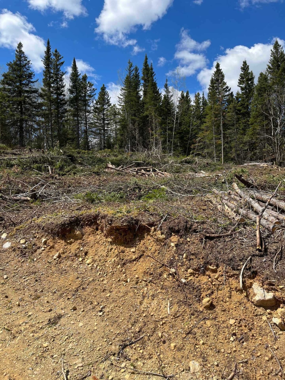 Terrain — Ch. du Pied-des-Monts, Saint-Aimé-des-Lacs