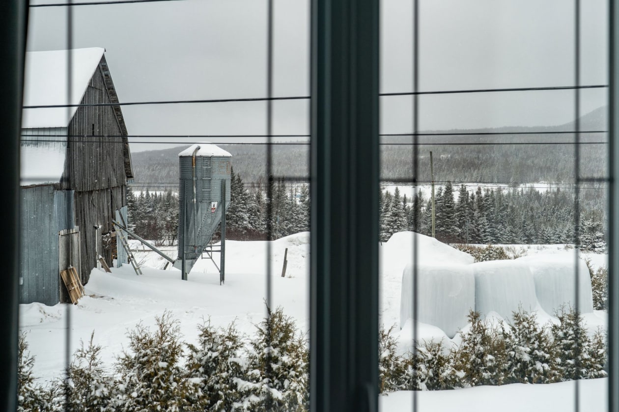Photo 22 — 373 4e Rang, Saint-Hilarion