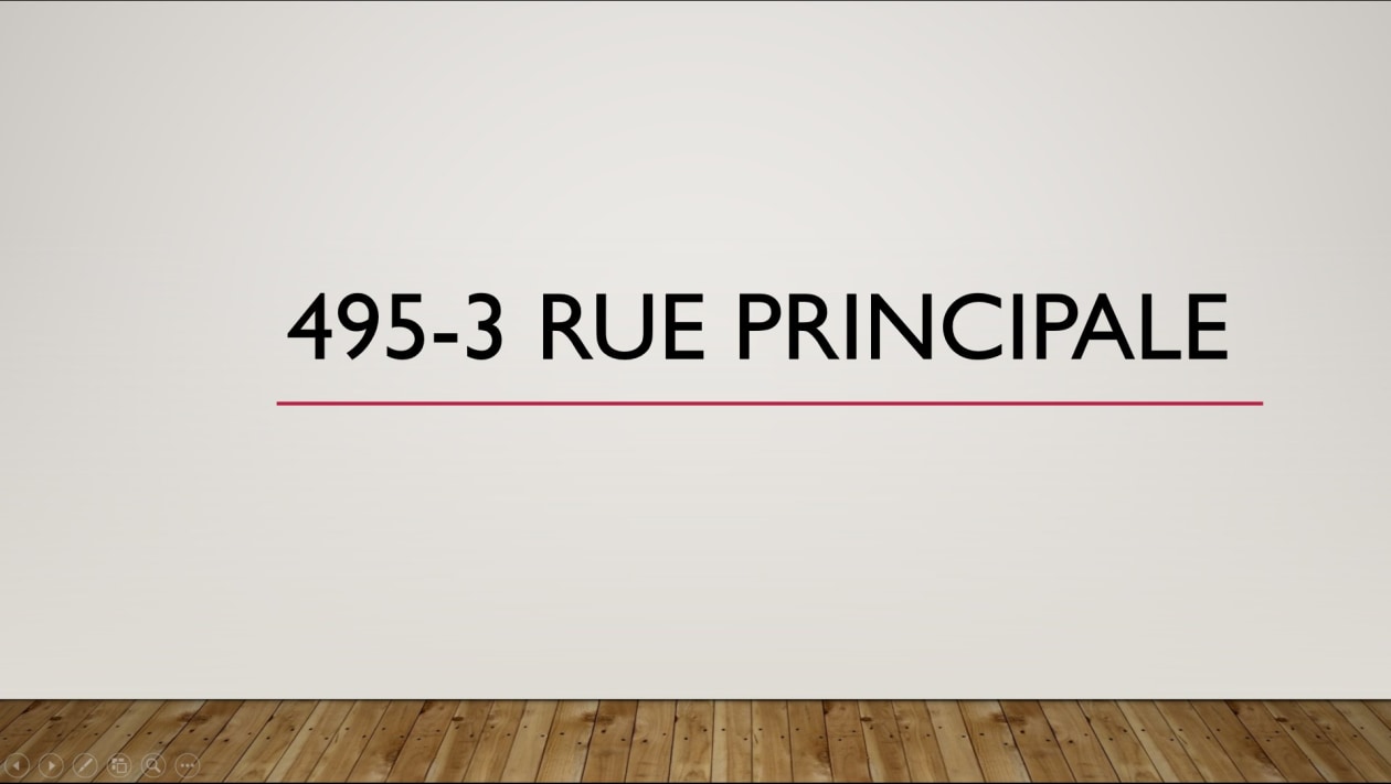 Photo 43 — 495-1 - 495-3, Petite-Rivière-Saint-François