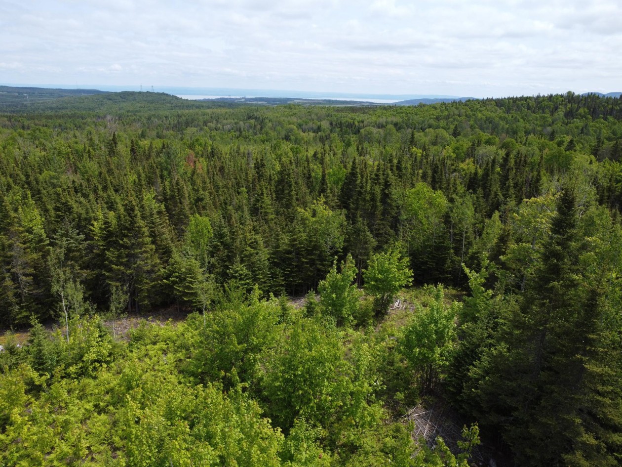 Photo 29 — 1Z Rg St-Joseph, La Malbaie