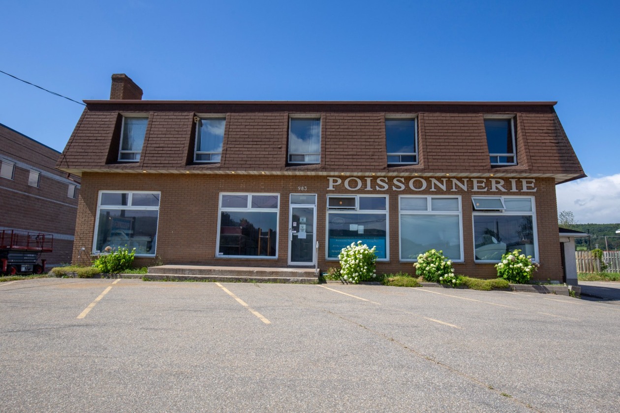 983 - 985, Boul. Monseigneur-De Laval — photo 1