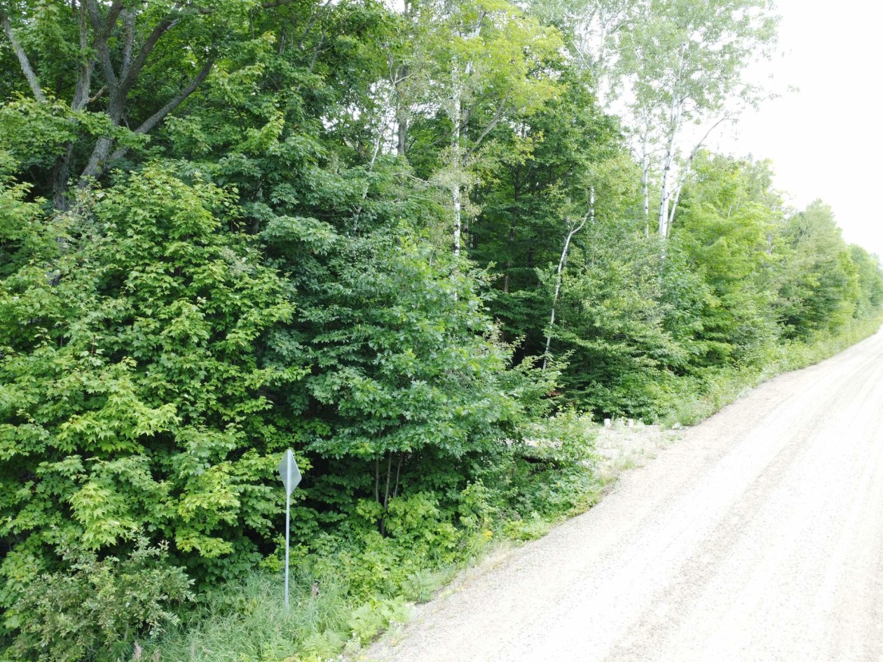 À proximité — Ch. Jacques-Labrecque, Petite-Rivière-Saint-François